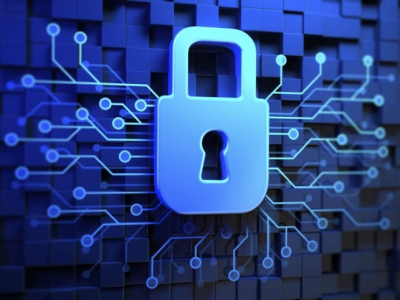 Агрессия кабанов в Московском регионе: как брачный сезон меняет поведение диких животных