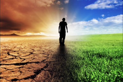 Аномально теплая погода в Москве: В чем скрываются риски и последствия аномалии?